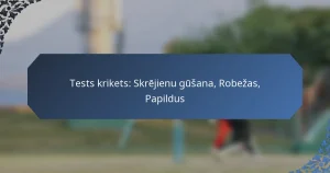 Tests krikets: Skrējienu gūšana, Robežas, Papildus